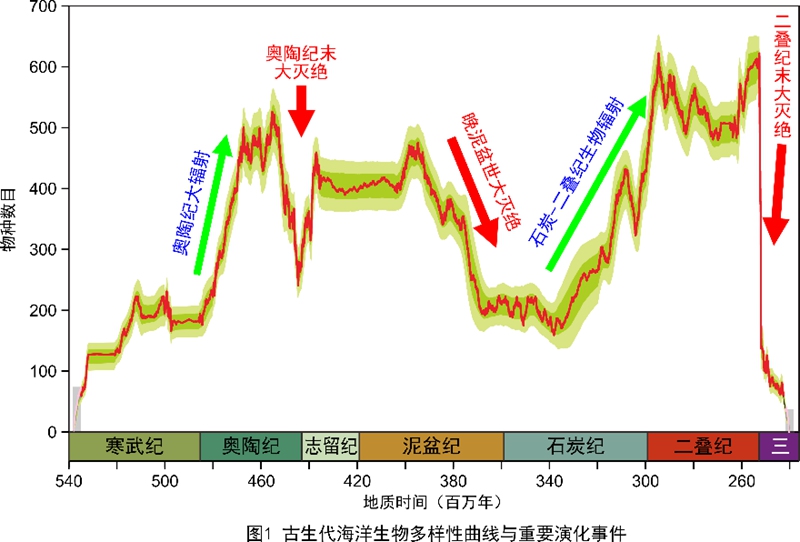 织金杀人最新,织金杀人案最新进展，深度解析事件背景与最新动态