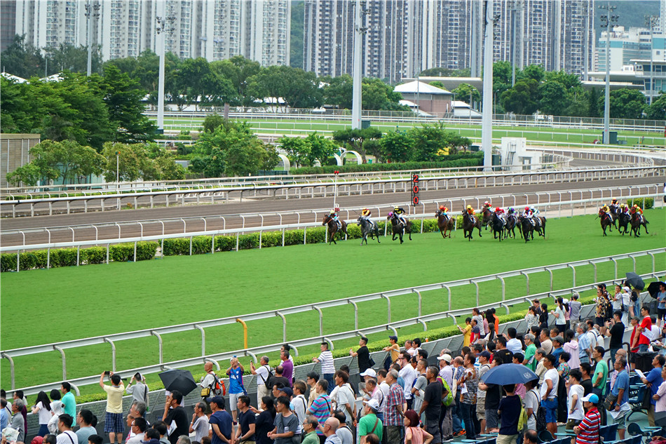 香港马买马网站www,香港马买马网站www——探索赛马文化的独特魅力