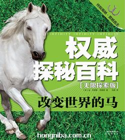 2024今晚澳门开特马四不像,探索澳门特马，四不像的魅力与未来展望