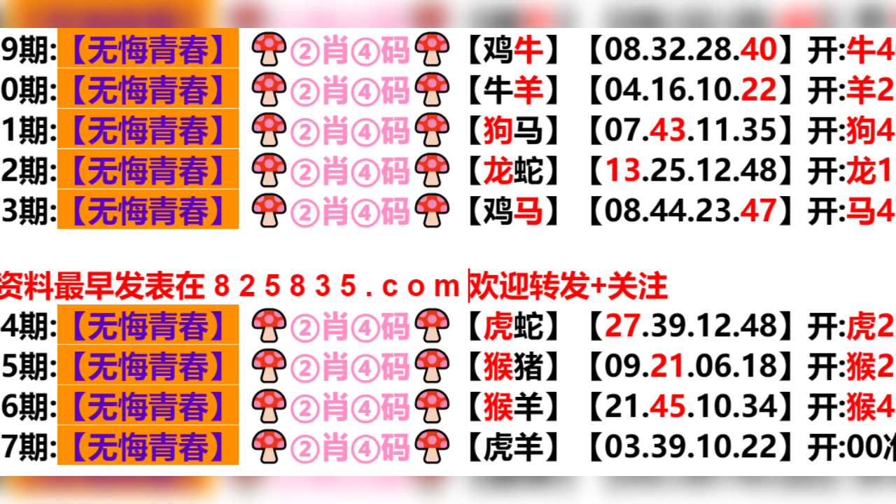 2024新澳门天天开好彩大全孔的五伏,探索新澳门，2024年天天开好彩的奥秘与五伏文化