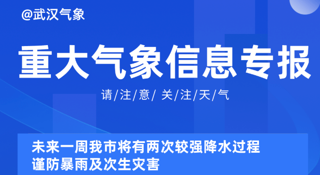 2025新奥资料免费精准109,探索未来，2025新奥资料免费精准共享之道（第109篇）