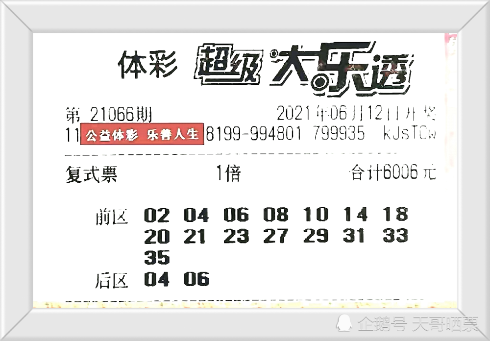 香港今晚开特马 开奖结果66期,香港今晚开特马，揭晓第66期开奖结果