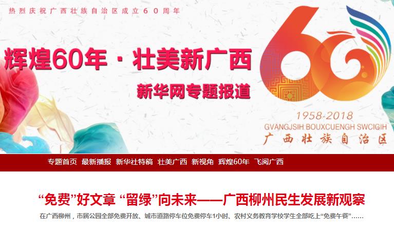 2025新澳正版免费资料大全一一,探索未来，2025新澳正版免费资料大全解析